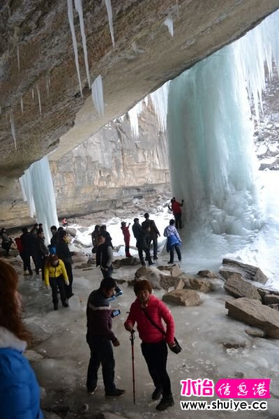 DSC_1313.jpg