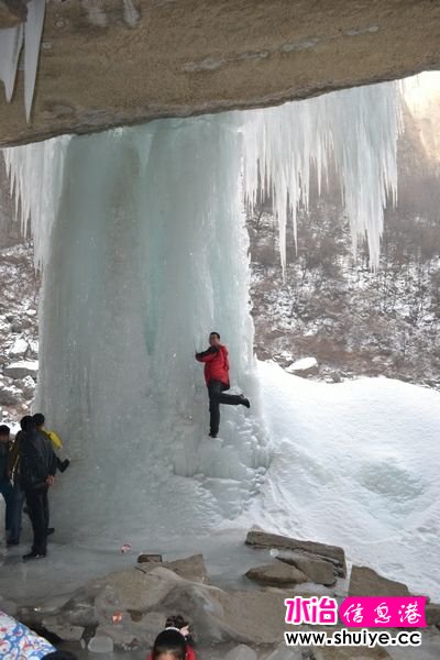 DSC_1335.jpg