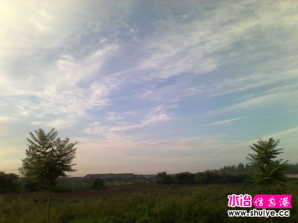 Ƭ 030.jpg