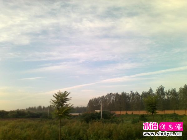Ƭ 031.jpg