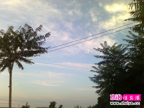 Ƭ 035.jpg