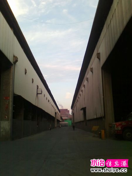 Ƭ 039.jpg