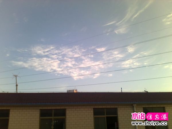 Ƭ 027.jpg