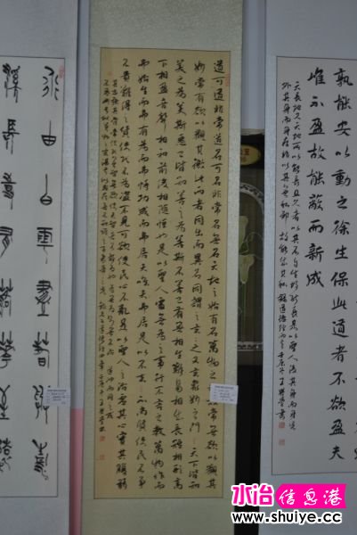 DSC_3286.JPG