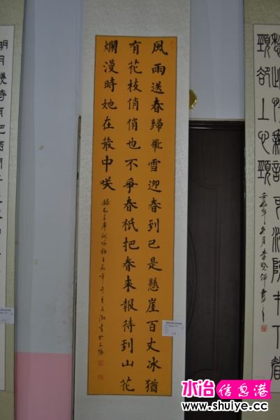 DSC_3498 (161).JPG