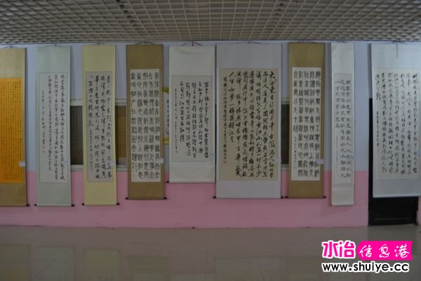 DSC_3510 (170).JPG