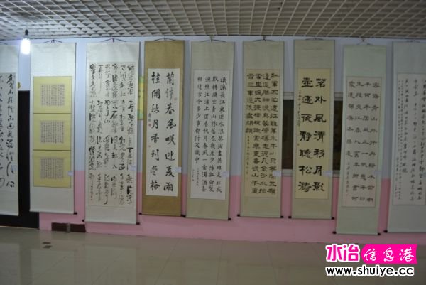 DSC_3516 (176).JPG