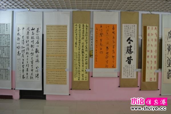 DSC_3523 (183).JPG