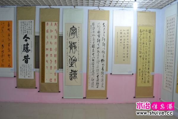 DSC_3524 (184).JPG