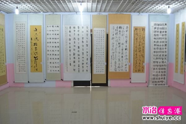 DSC_3526 (185).JPG