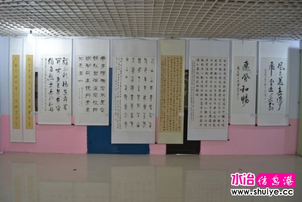 DSC_3529 (187).JPG