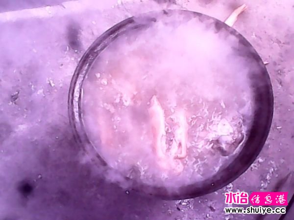 IMG0010A.jpg