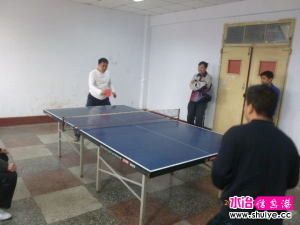 P1310615.JPG