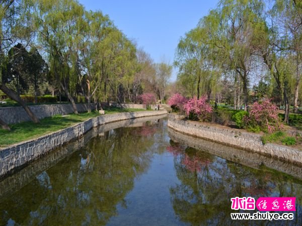 DSC_0001 (1)_����.jpg