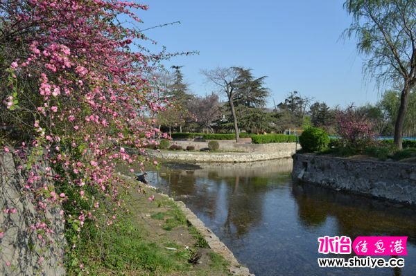 DSC_0006 (6)_����.jpg