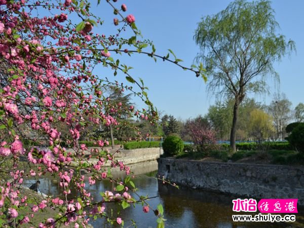 DSC_0008 (8)_����.jpg