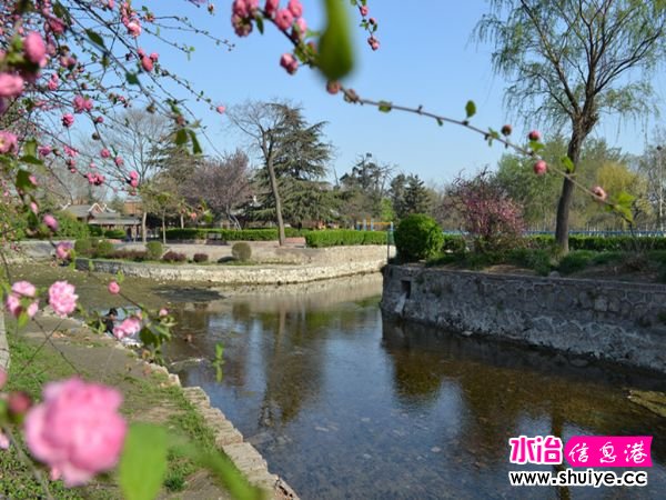 DSC_0011 (11)_����.jpg