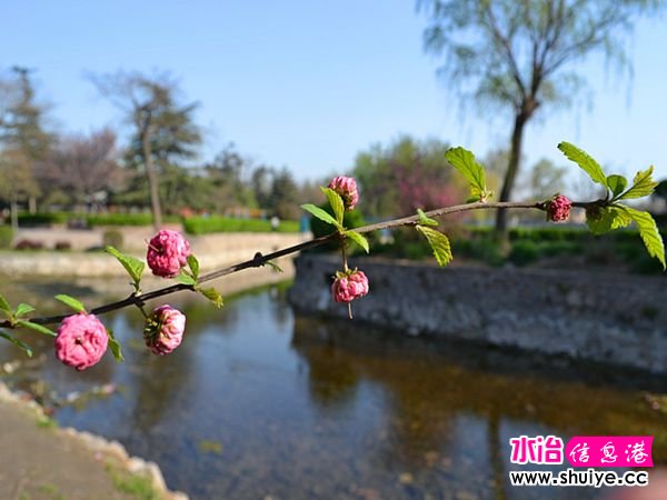 DSC_0016 (16)_����.jpg