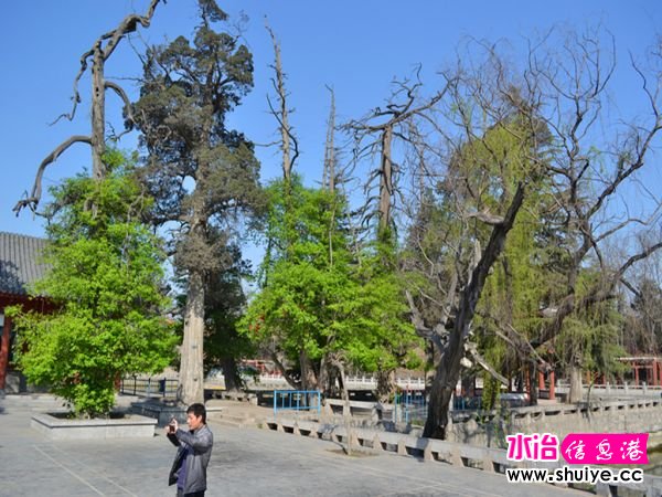 DSC_0044 (42)_����.jpg