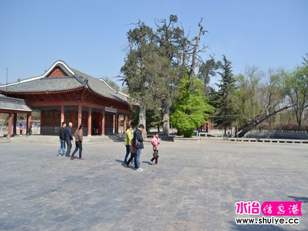 DSC_0107 (104)_����.jpg