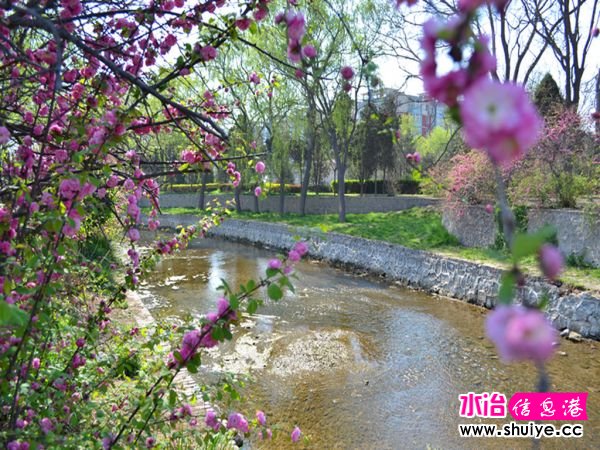 DSC_0134 (131)_����.jpg