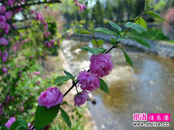 DSC_0136 (133)_����.jpg