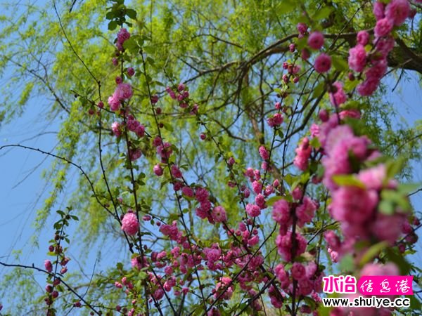 DSC_0153 (150)_����.jpg