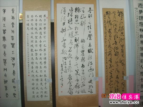 DSCN5126.JPG