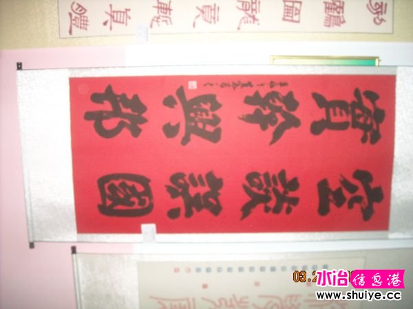 DSCN5132.JPG