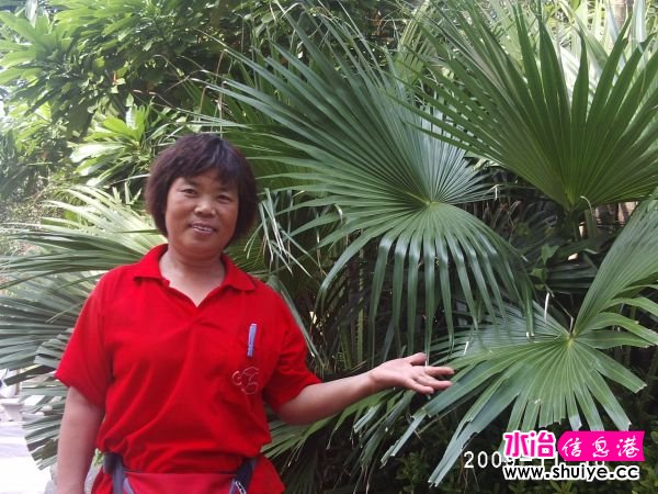 PHOT0247.JPG