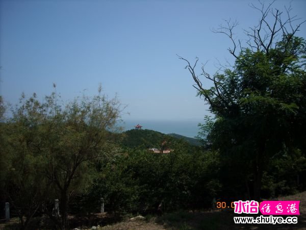 DSCN0170.JPG