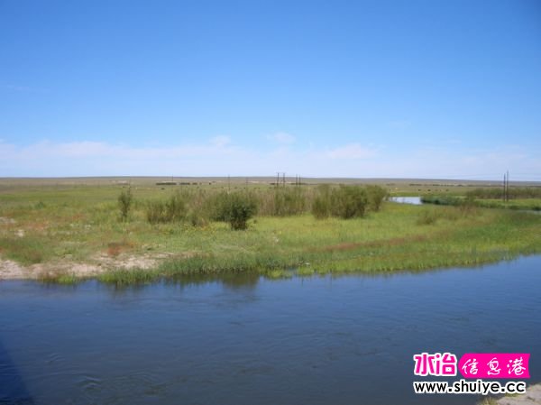 mxcp2216333966620609616.jpg