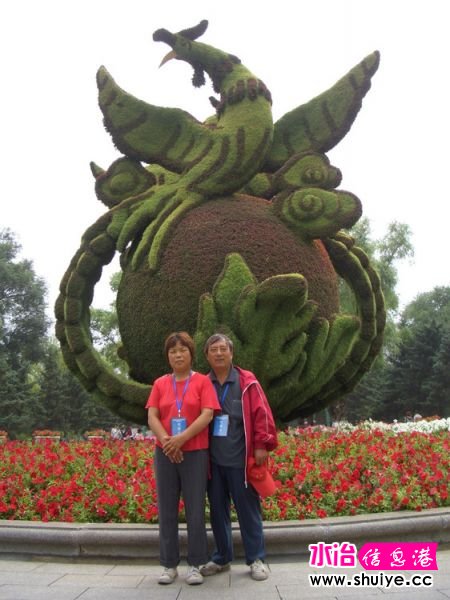 mxcp1131810881354013659.jpg