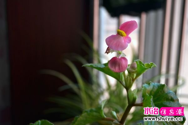 DSC_0022 (17).JPG