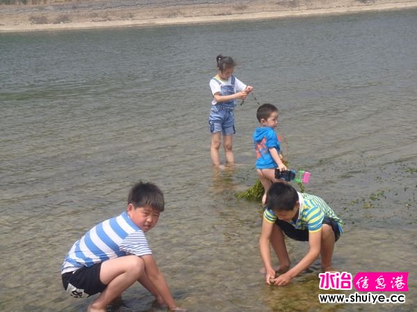 xxxDSC03040.jpg