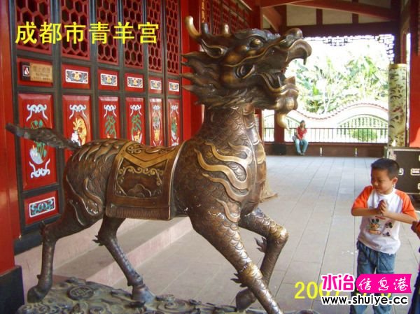 mxcp1919659341167302814.jpg