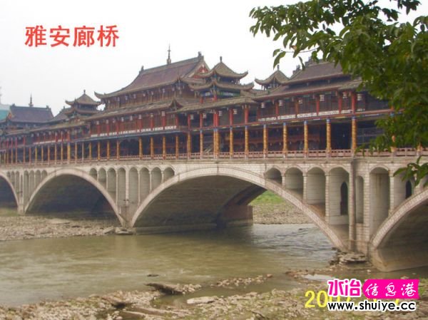 mxcp2078411228032853683.jpg