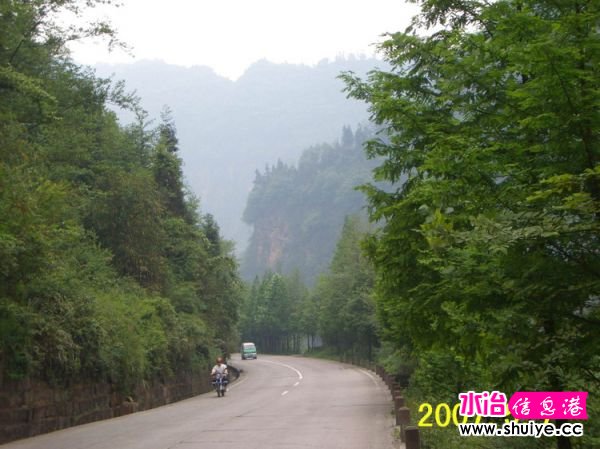 mxcp2118099199748100933.jpg