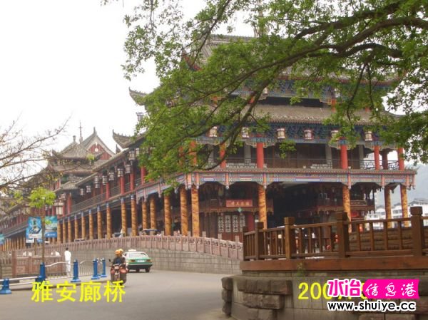 mxcp2498934843237639267.jpg