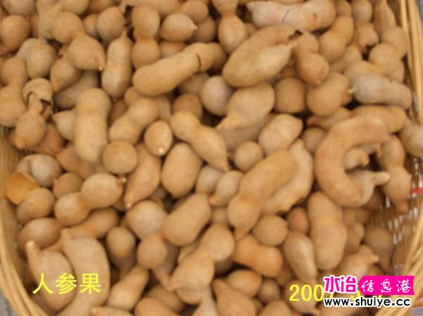mxcp2561985238020830479.jpg