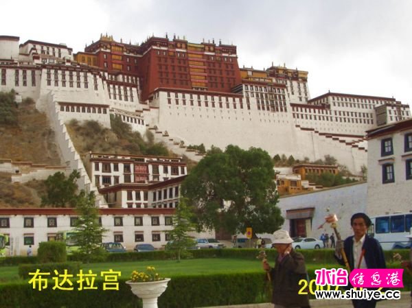 mxcp1009369266484830177.jpg