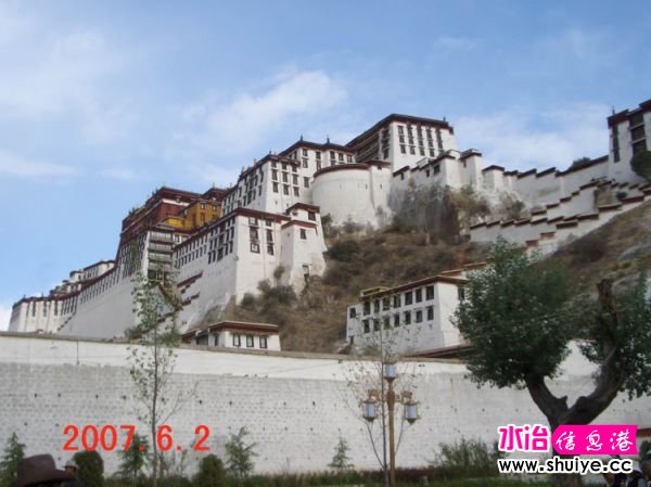 mxcp2040412106176230945.jpg