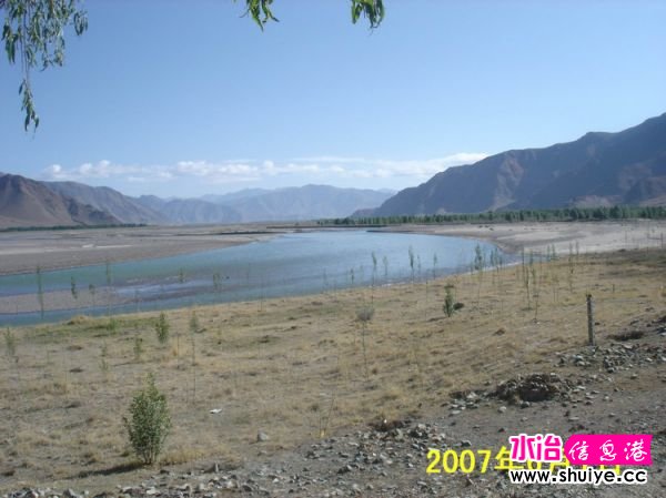 mxcp1119707457355455118.jpg