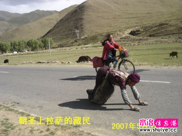 mxcp1155173304420956484.jpg