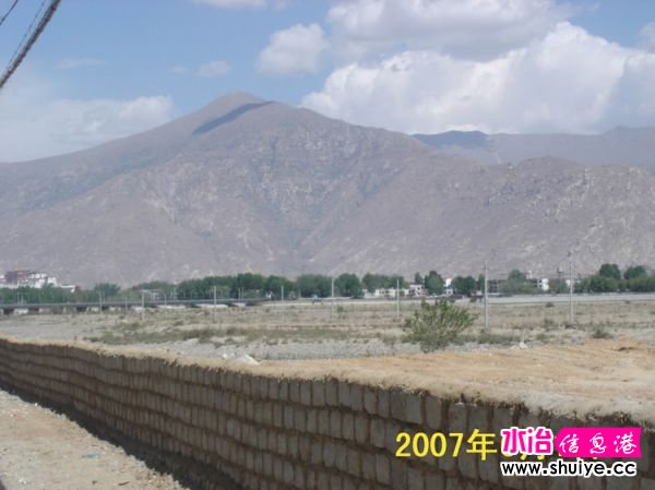 mxcp2429973473943498431.jpg