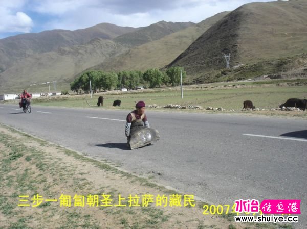 mxcp2809964692502933627.jpg