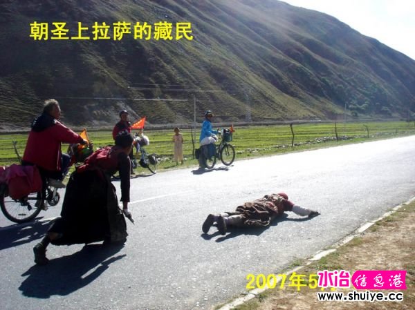 mxcp2968153629414245337.jpg