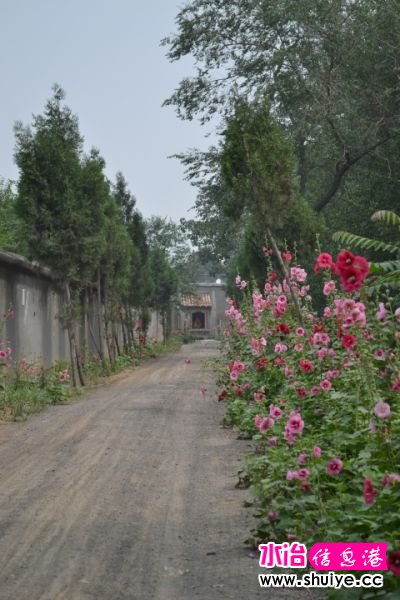 DSC_0118 (76)_01.JPG