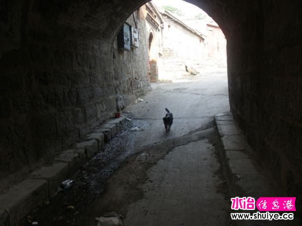 606979361cee2c8cd0a2d3bc.jpg