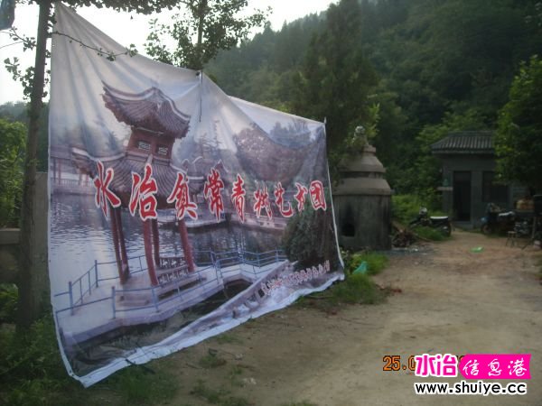 DSCN4214.JPG